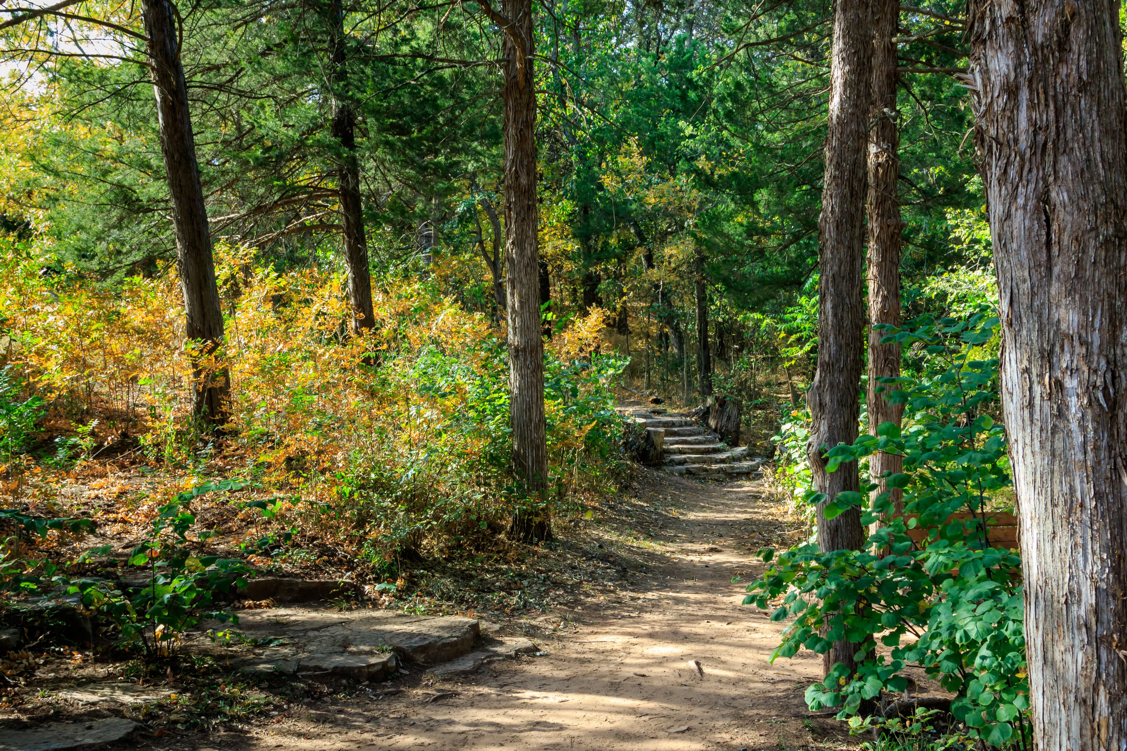 Forest trail at Roman Nose State Park, Watonga, Oklahoma, USA