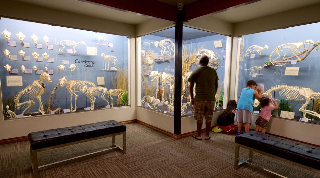 Museum of Osteology showing interior views as well as a family