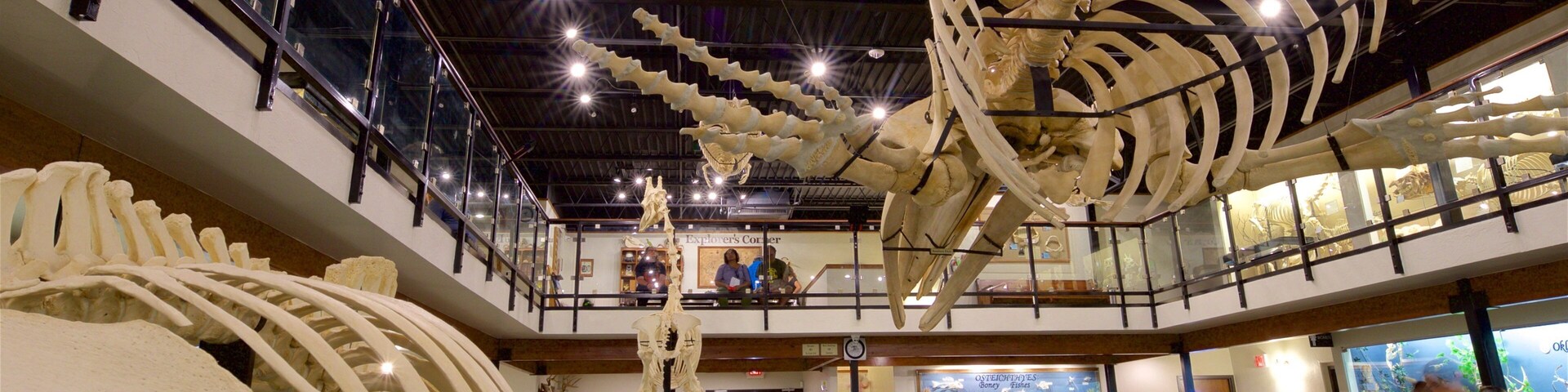 Museum of Osteology featuring interior views
