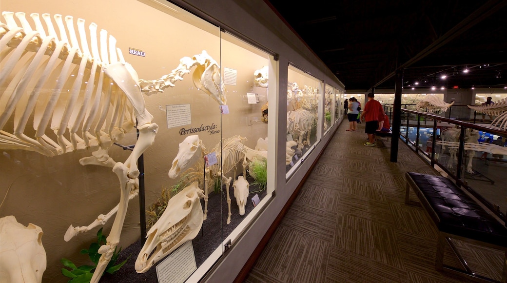 Museum of Osteology showing interior views