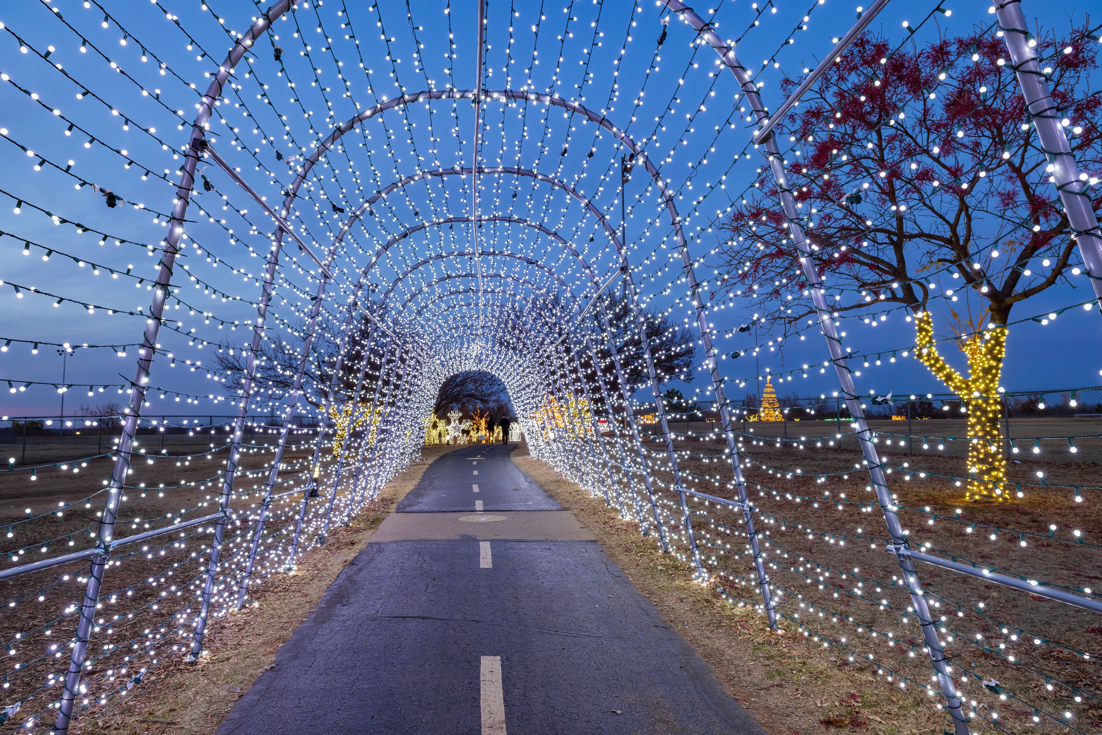 Night view of the beautiful Christmas decoration lights in Mitch Park