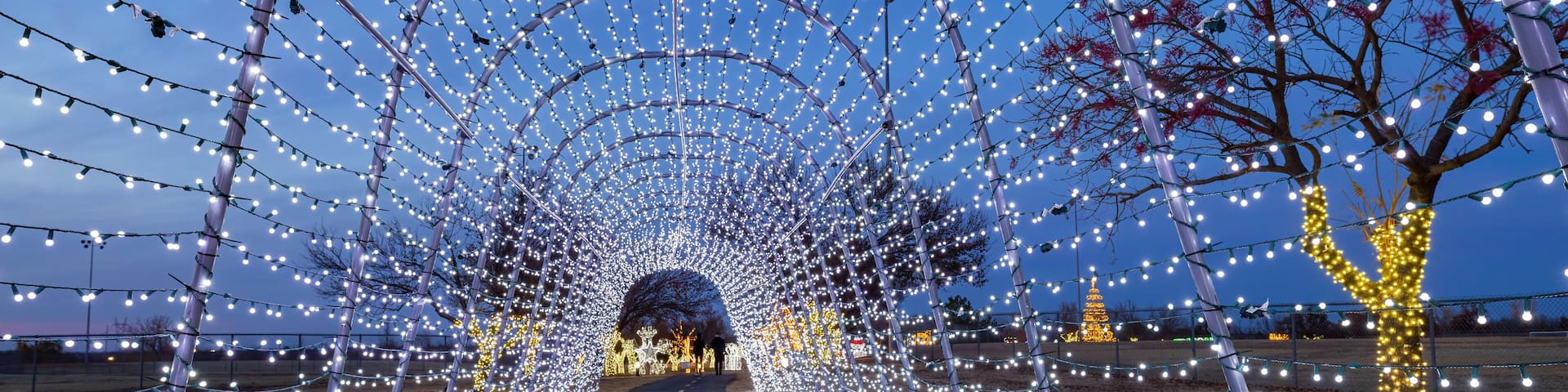 Night view of the beautiful Christmas decoration lights in Mitch Park