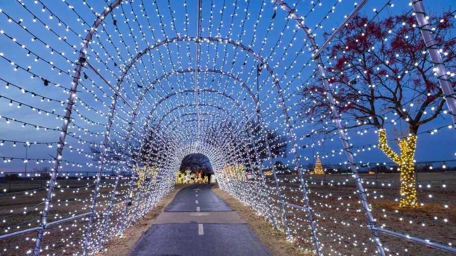 Night view of the beautiful Christmas decoration lights in Mitch Park