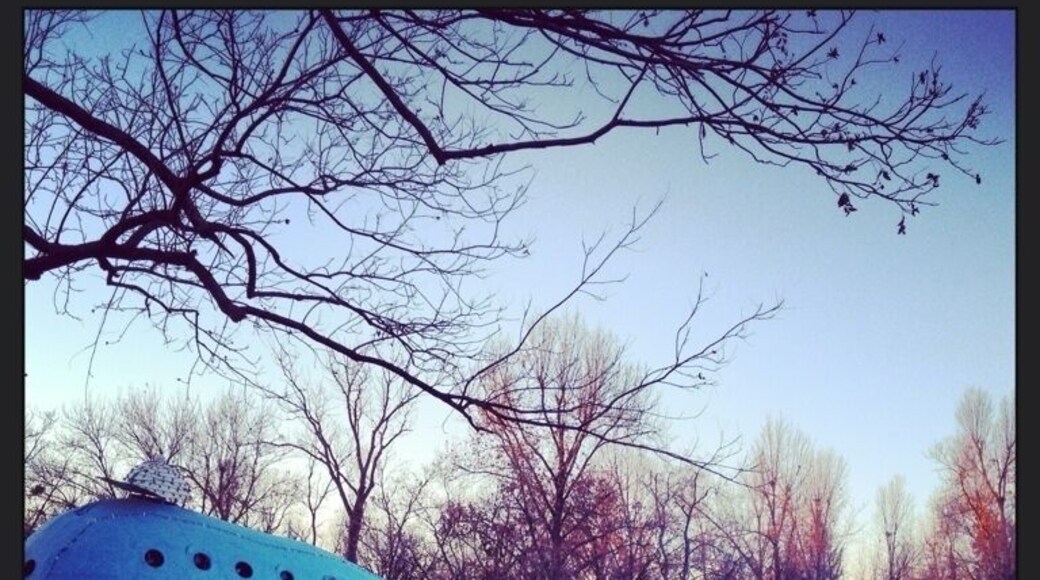 Creepy swimming hole...straight out of a Stephen King novel! #BVSblue