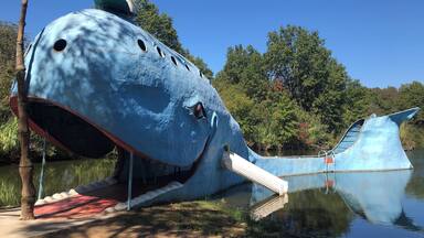Blue whale Route 66