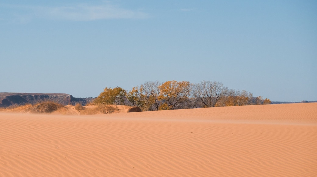 Little Sahara State Park