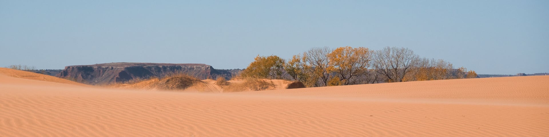 Trees and Sand Dunes in Little Sahara State Park in Waynoka, USA