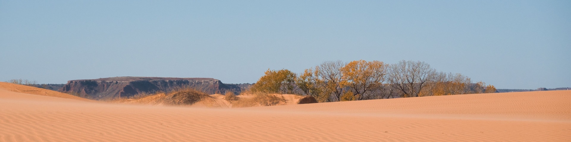 Trees and Sand Dunes in Little Sahara State Park in Waynoka, USA