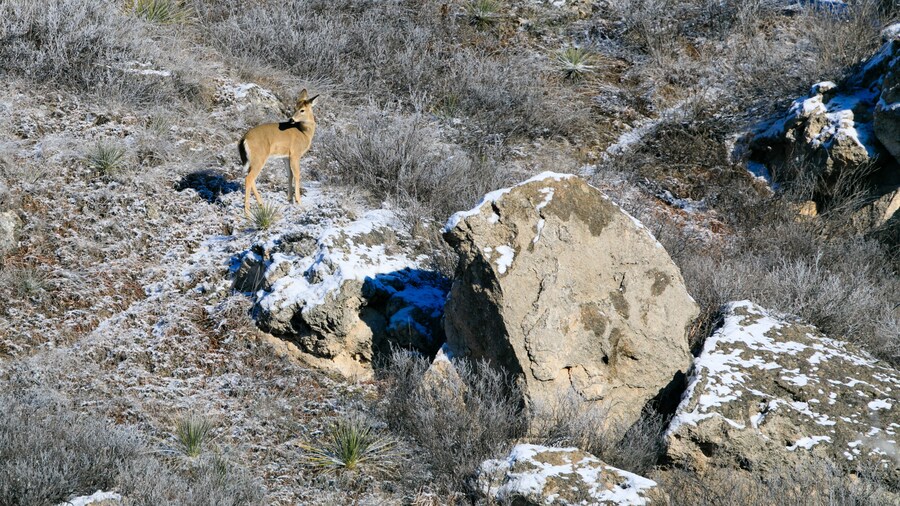 Lake Scott State Park