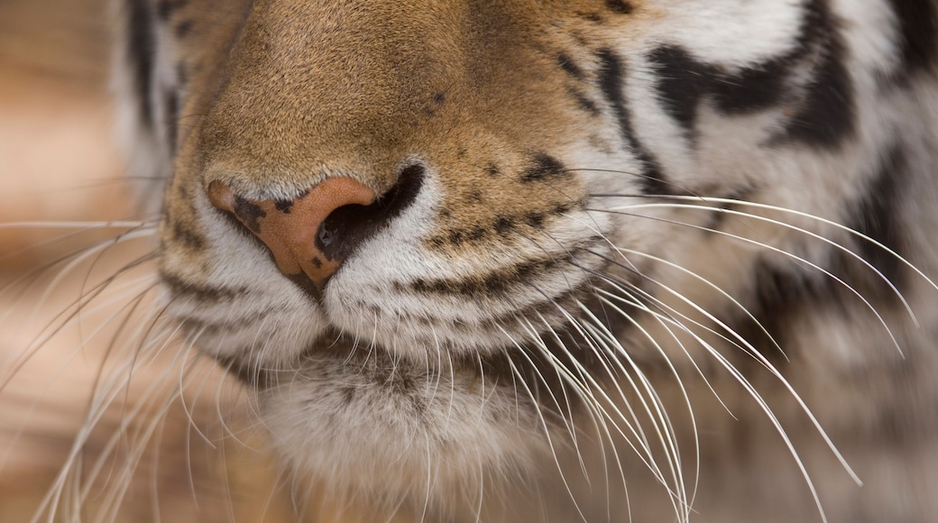 Rolling Hills Wildlife Adventure