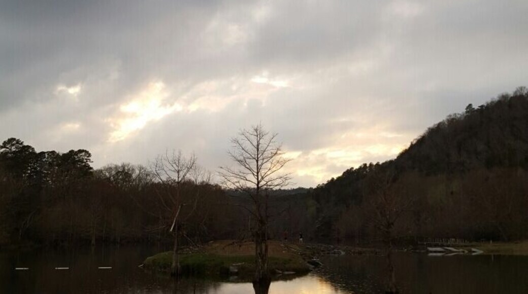 A beautiful place to kayak, fish and simply enjoy nature.