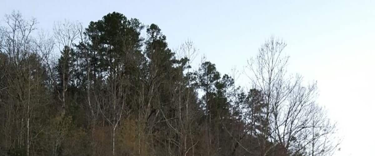Beavers Bend paddling
A nature lover's paradise!
