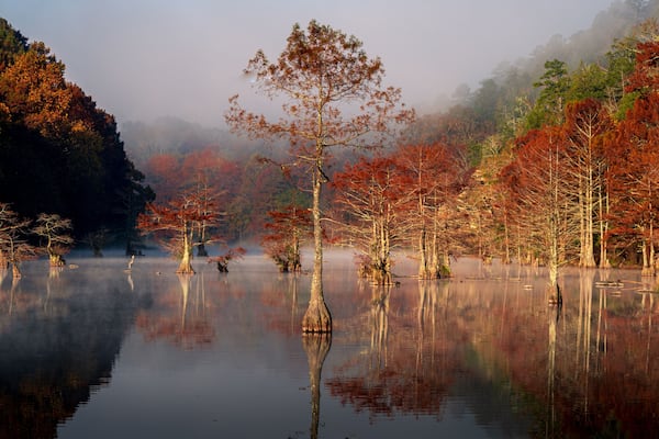 Un lac brumeux, bordé d’arbres aux couleurs automnales qui se reflètent dans l’eau.