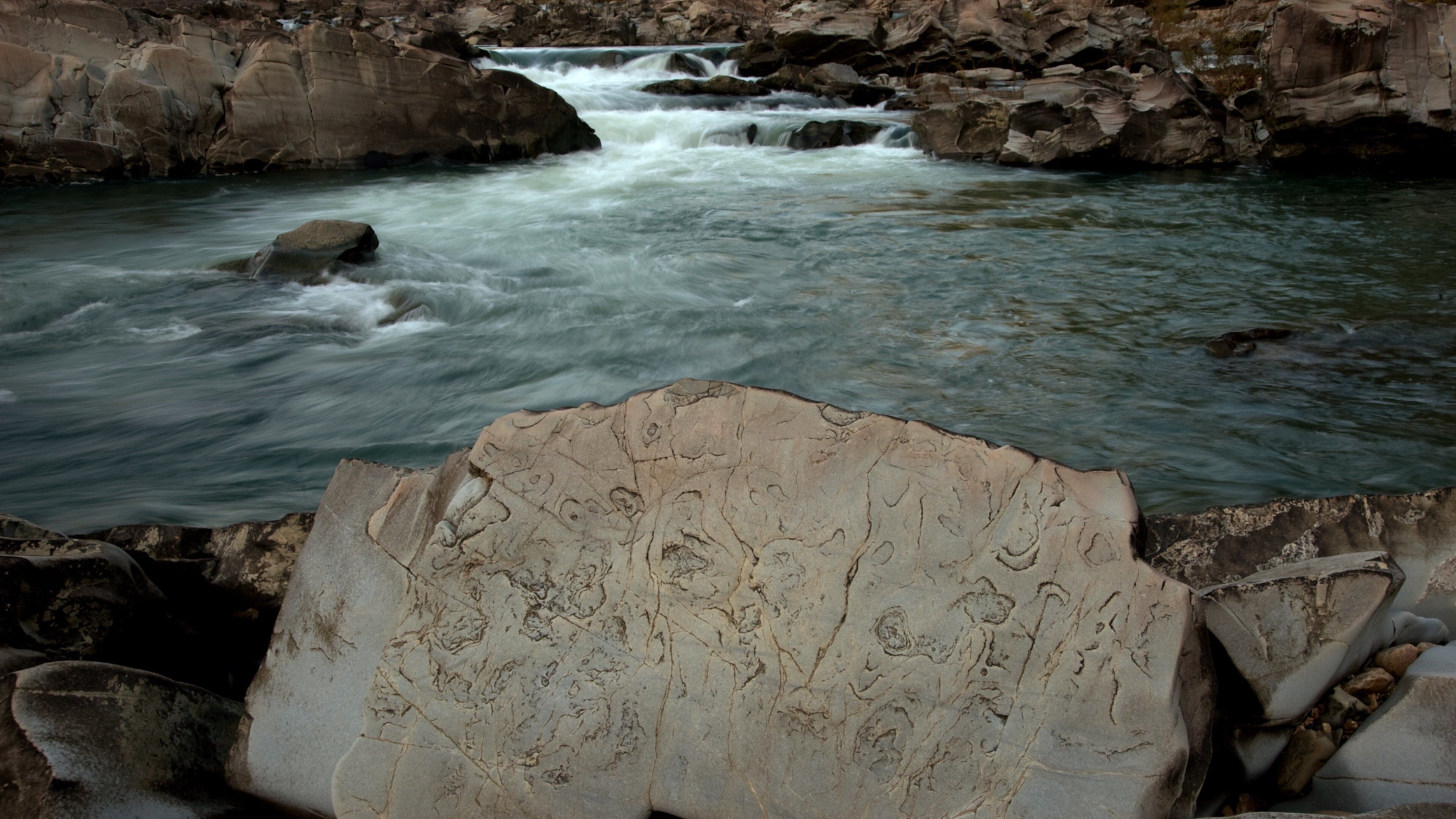 Cossatot River State Park featuring a river or creek