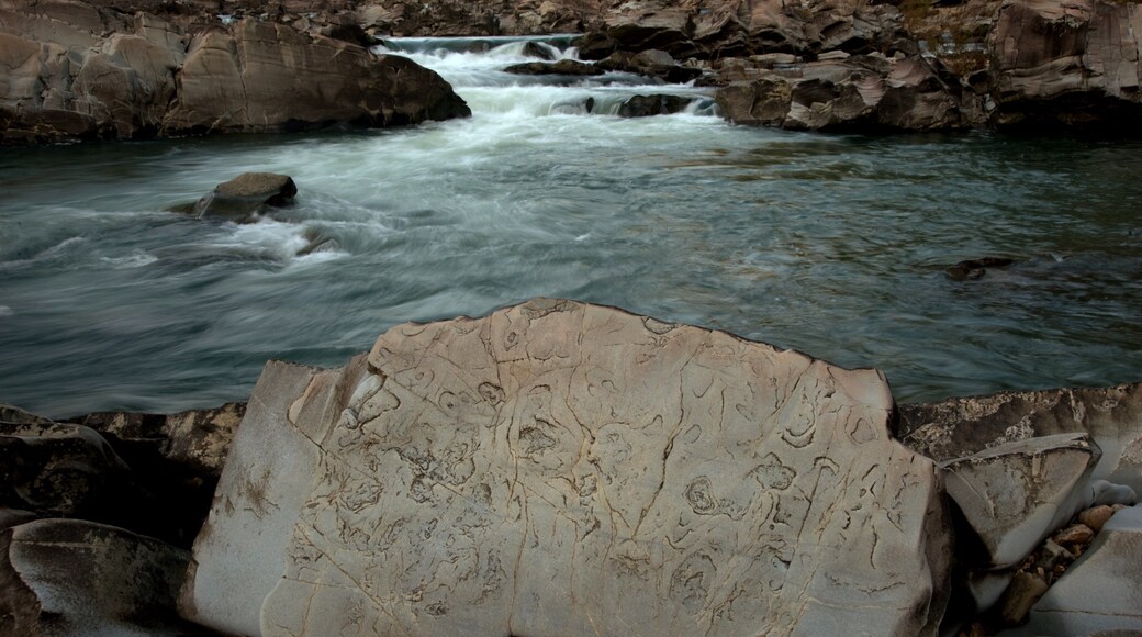 Cossatot River State Park featuring a river or creek