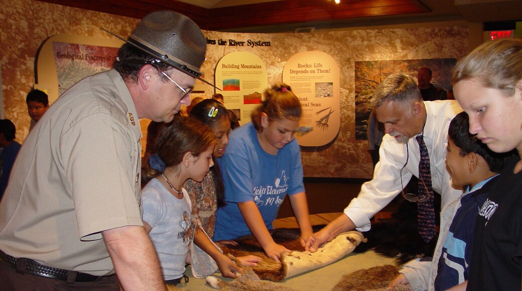 Southern Arkansas - Timberlands showing interior views as well as a small group of people