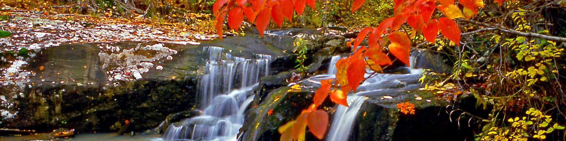 Cossatot River State Park