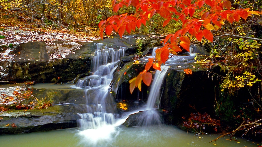 Cossatot River State Park