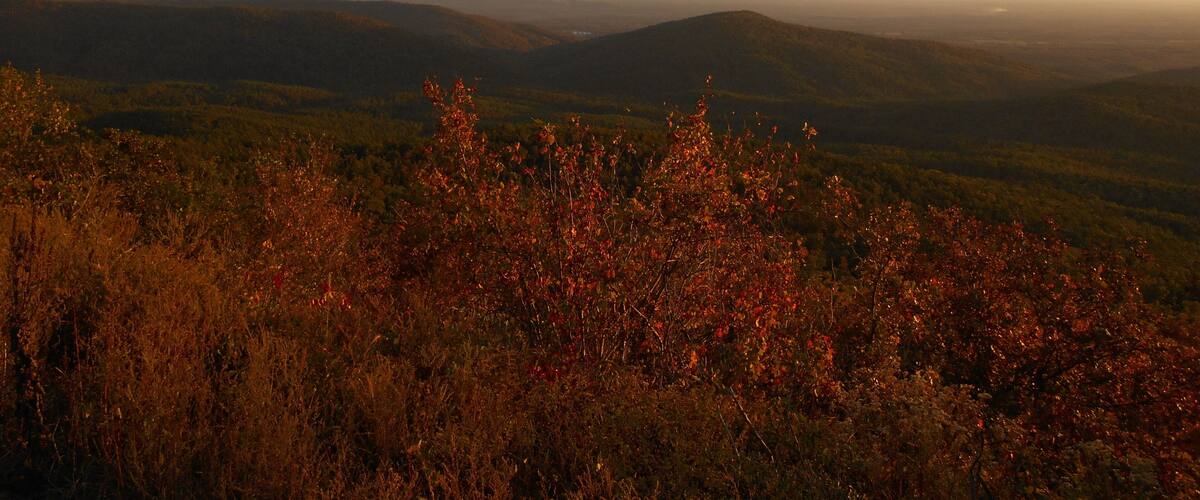 Looking across a colorful mountain valley in the evening one late autumn