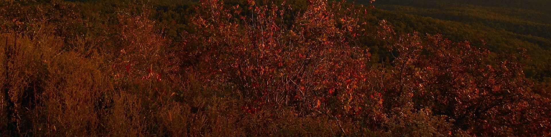 Looking across a colorful mountain valley in the evening one late autumn