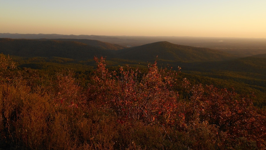 Queen Wilhelmina State Park