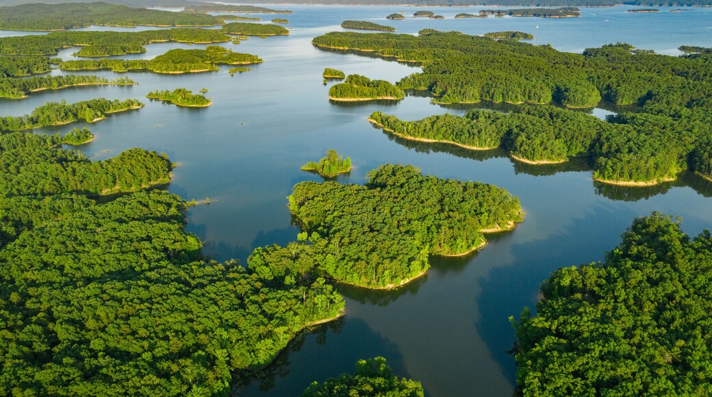 Tiny Islands Dot the Coastline of Lake Ouachita, AK