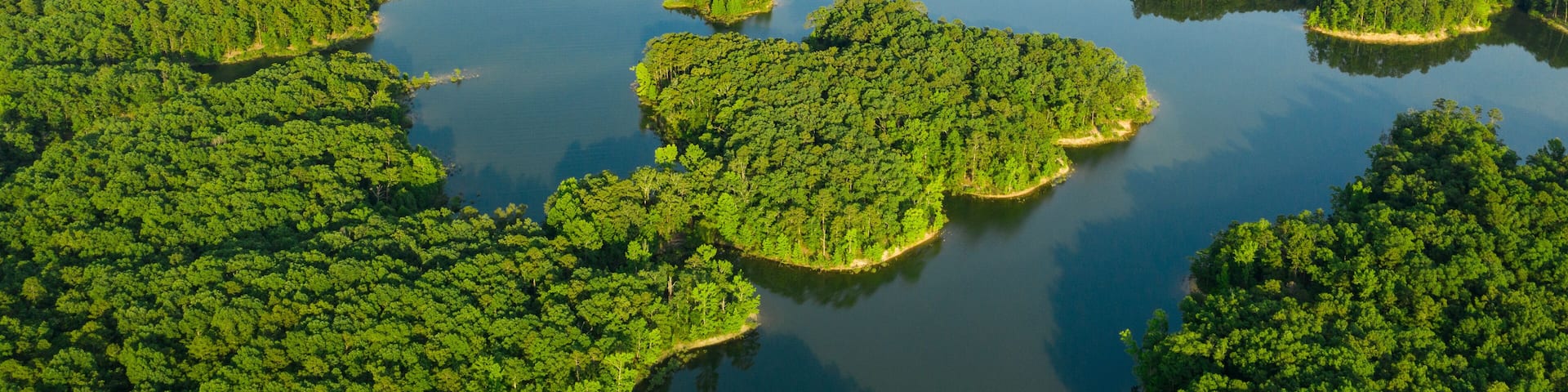 An aerial view of a network of islands surrounded by water, with dense green forests covering the land.