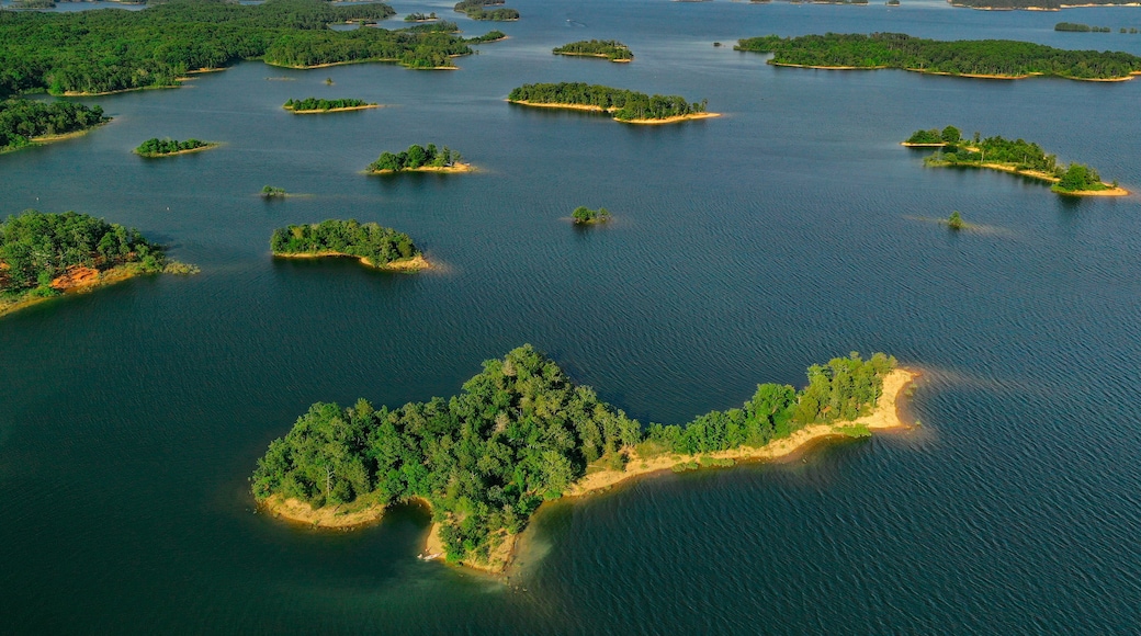 Tiny Islands Dot the Coastline of Lake Ouachita, AK