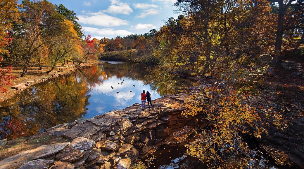 Little Rock - Central Arkansas