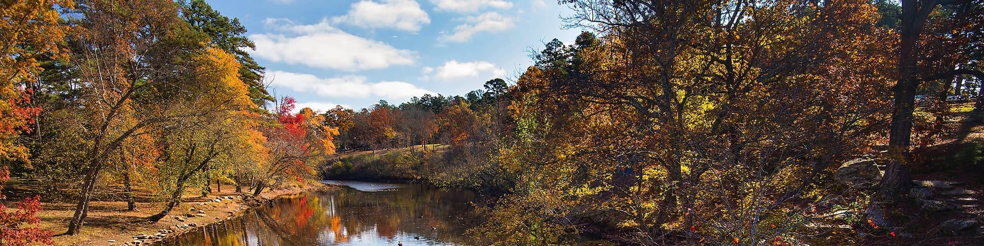 A river with autumn foliage, a stone bridge, and ducks swimming.