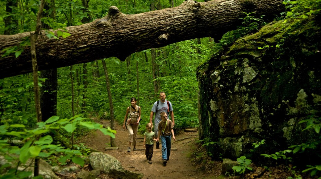 Little Rock - Central Arkansas featuring hiking or walking and forest scenes as well as a family