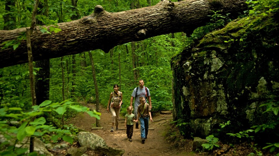 Little Rock - Central Arkansas featuring hiking or walking and forest scenes as well as a family