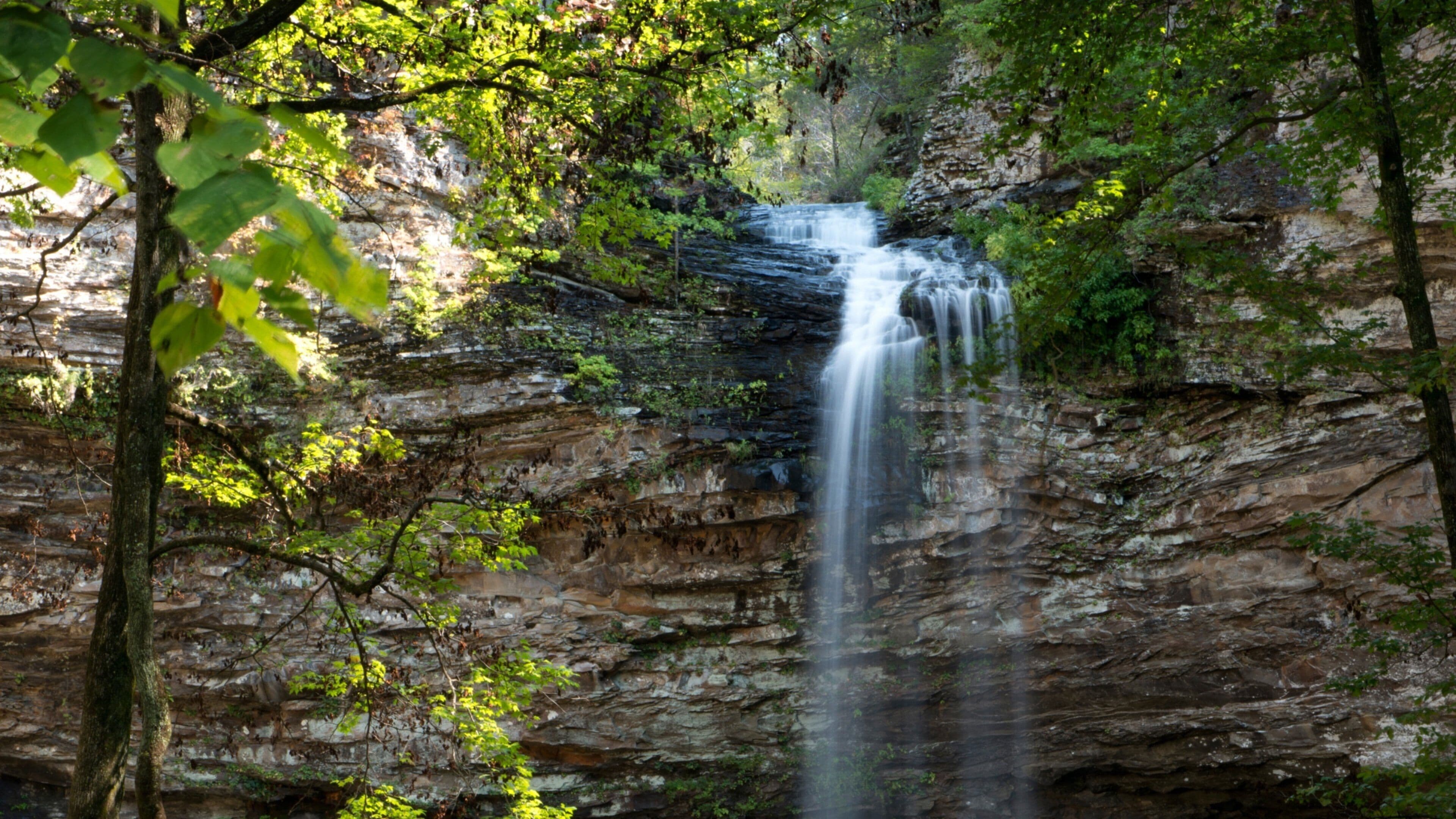A waterfall cascading down a rocky cliff surrounded by lush greenery.