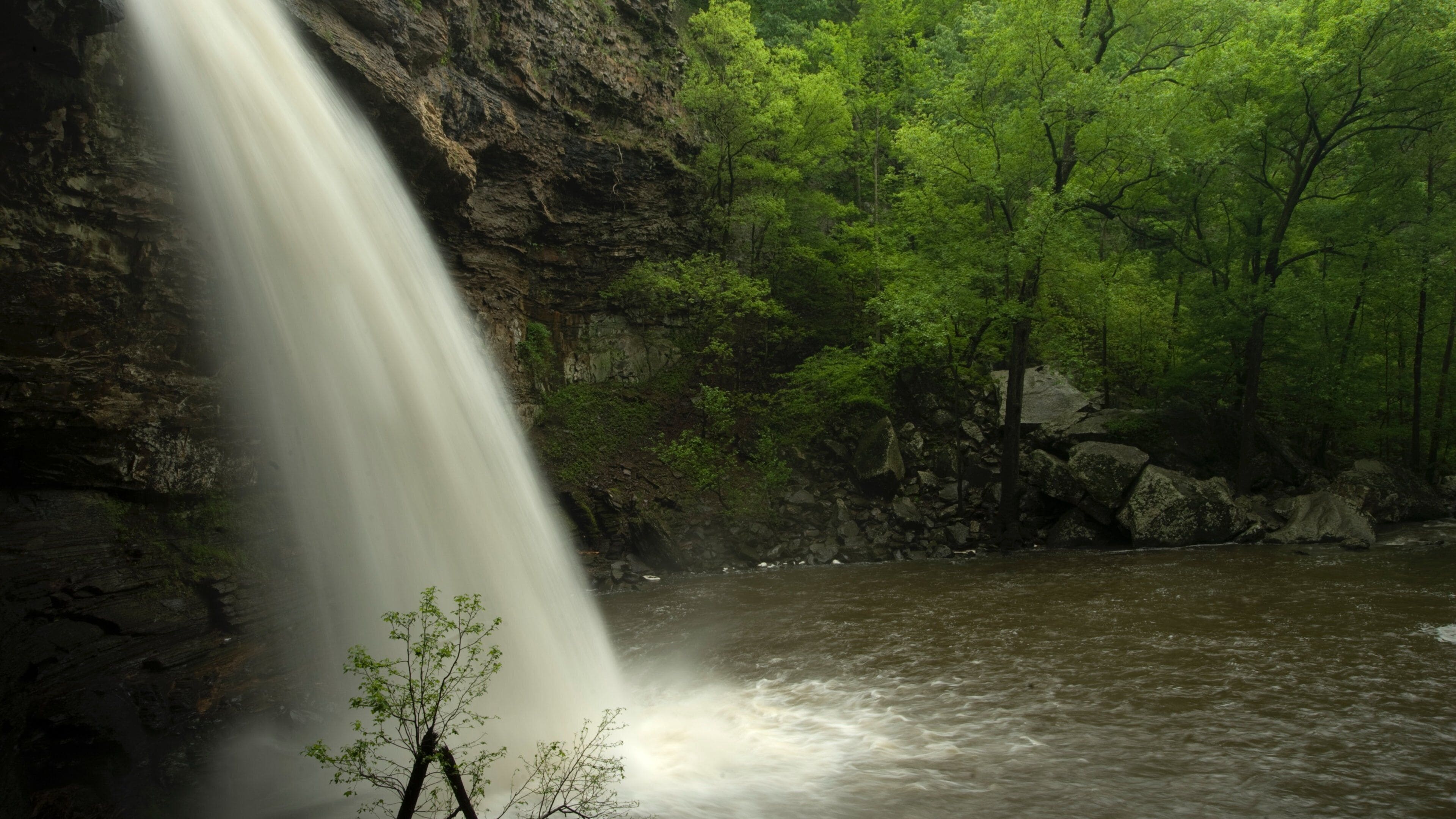 A waterfall cascading into a river surrounded by dense green forest and rocky cliffs.