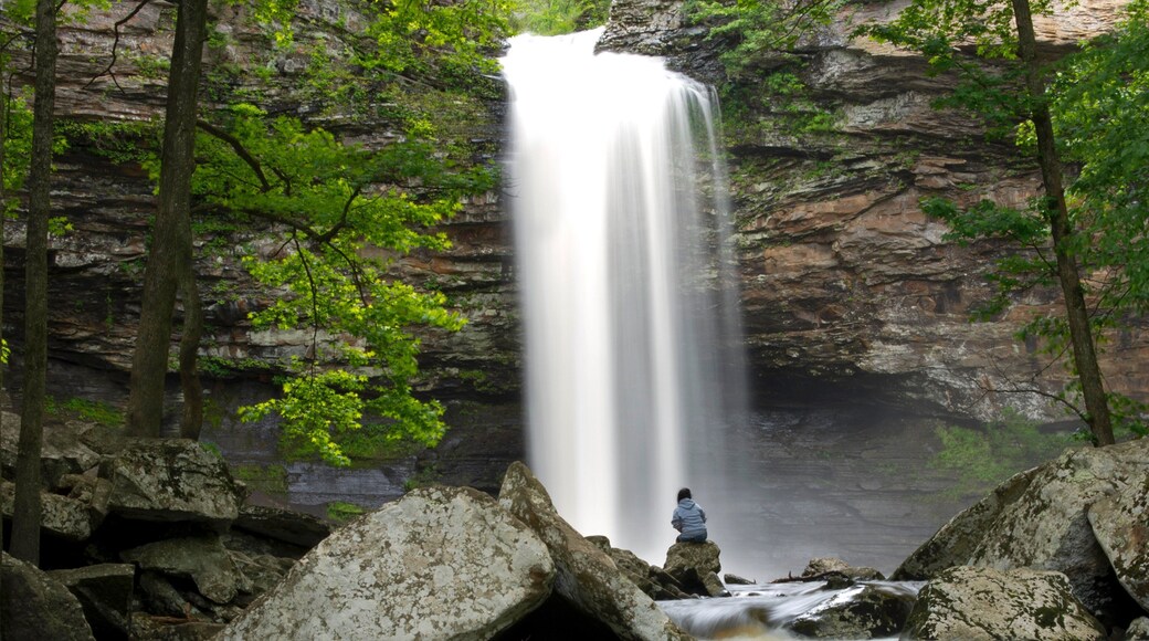 Little Rock - Central Arkansas