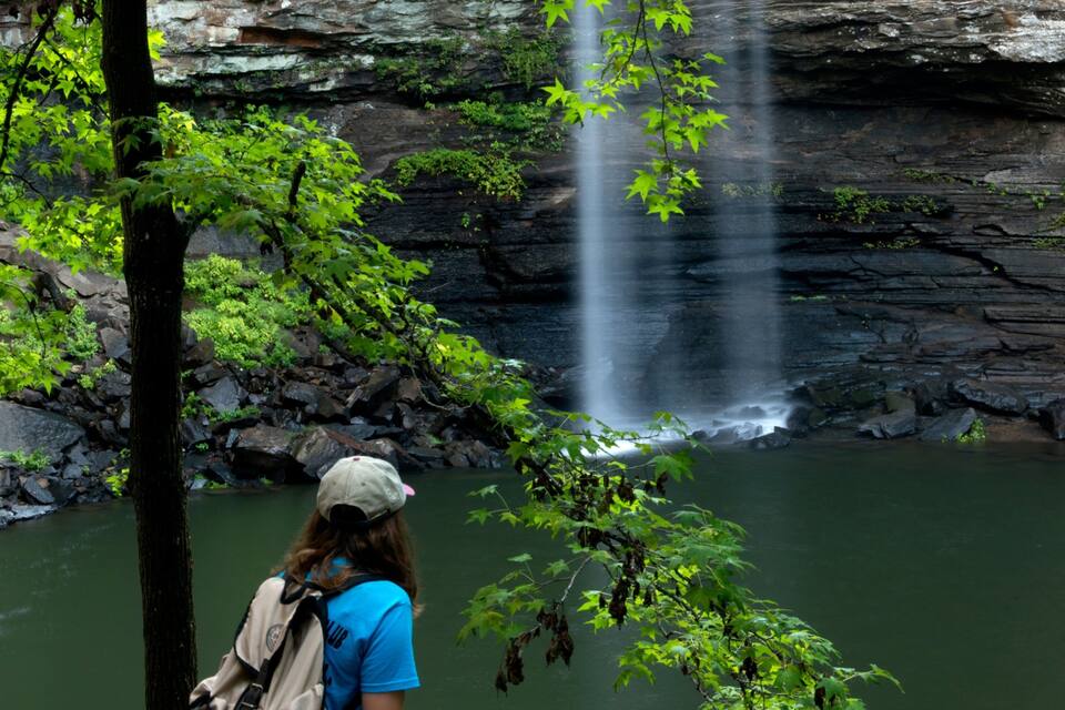 Uma cascata desce por um penhasco rochoso em direção a um lago calmo, rodeado por vegetação verde exuberante.