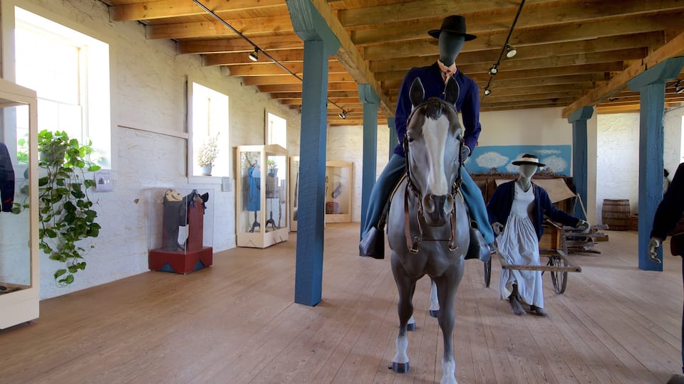 A horse-drawn carriage in a museum with wooden beams and exhibits on the walls.