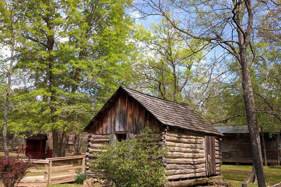 A rustic log cabin surrounded by lush greenery and trees.