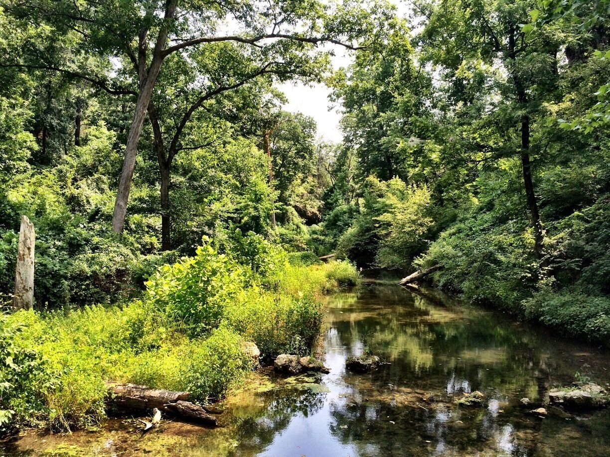 A  great place for a day trip - the hike down to the falls and through to the falls is incredible. It's like stepping into a rainforest - the plants and surroundings at the base of the falls are completely different from where you started at the trailhead. 

Photo: I did not post the cliche photo of the falls (they are beautiful!) but wanted to provide a snapshot of the terrain.