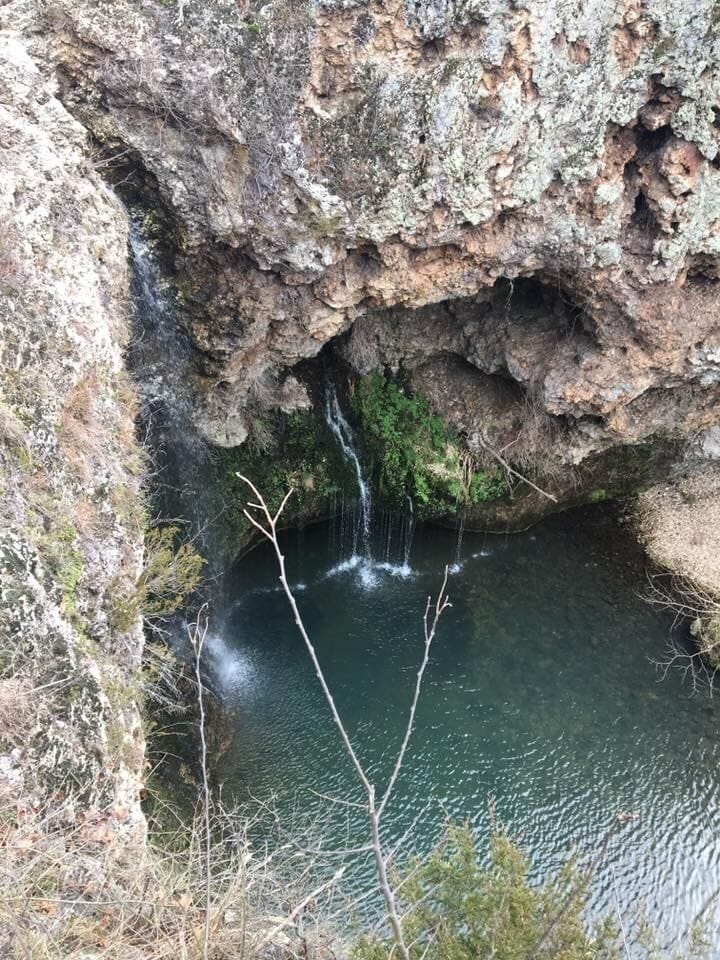 A wonderful, family adventure. 🌳