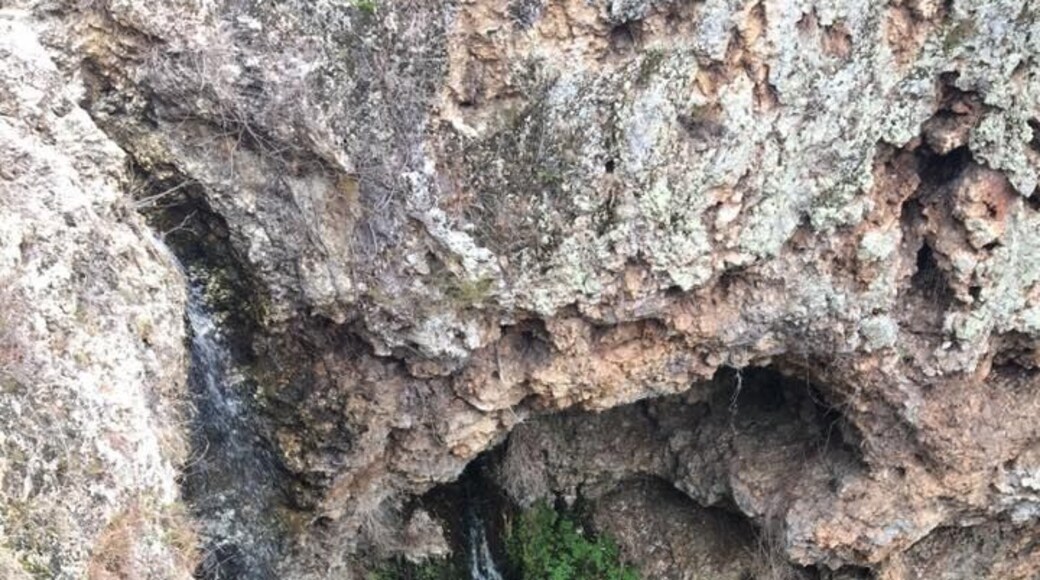 A wonderful, family adventure. 🌳