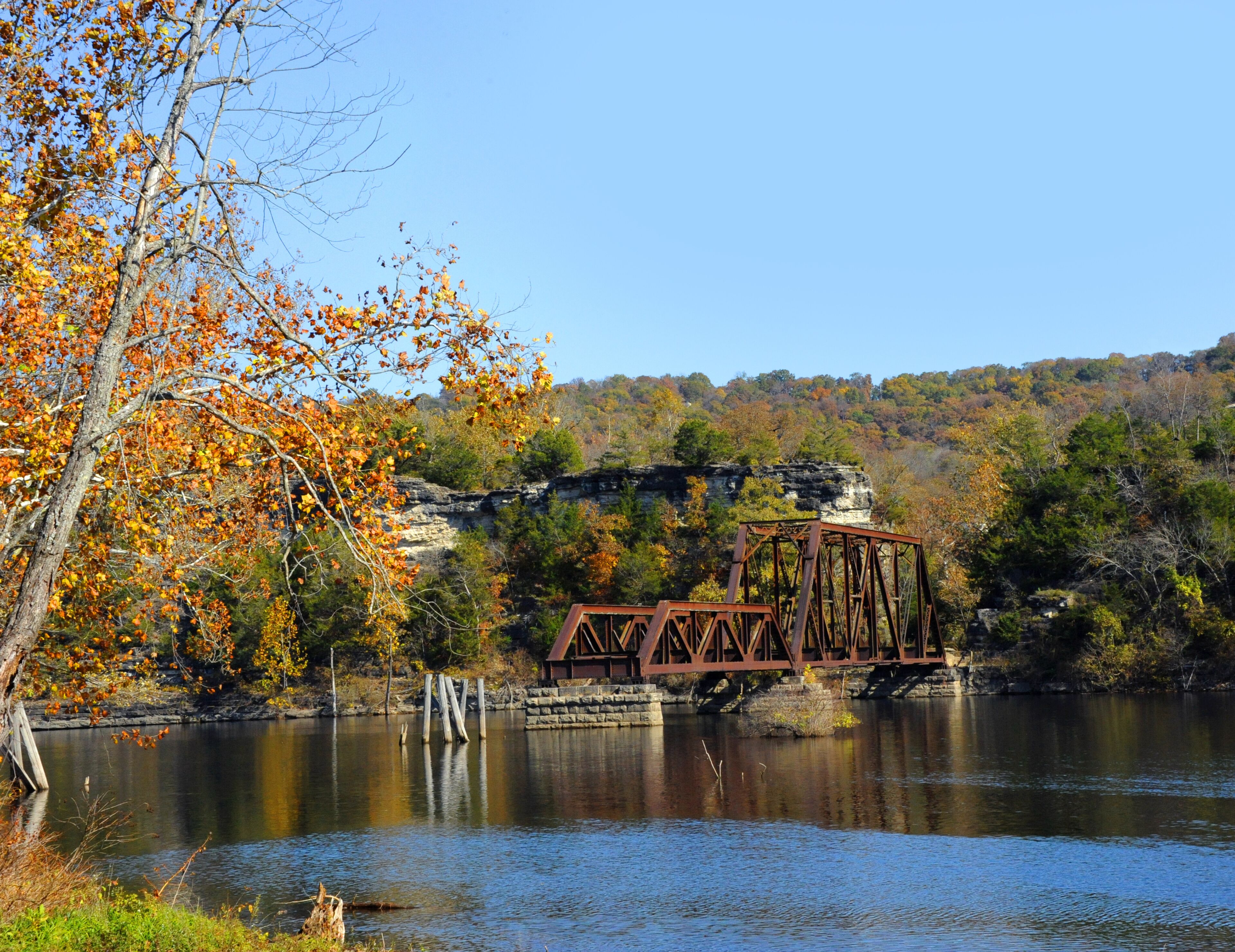 autumn in the park