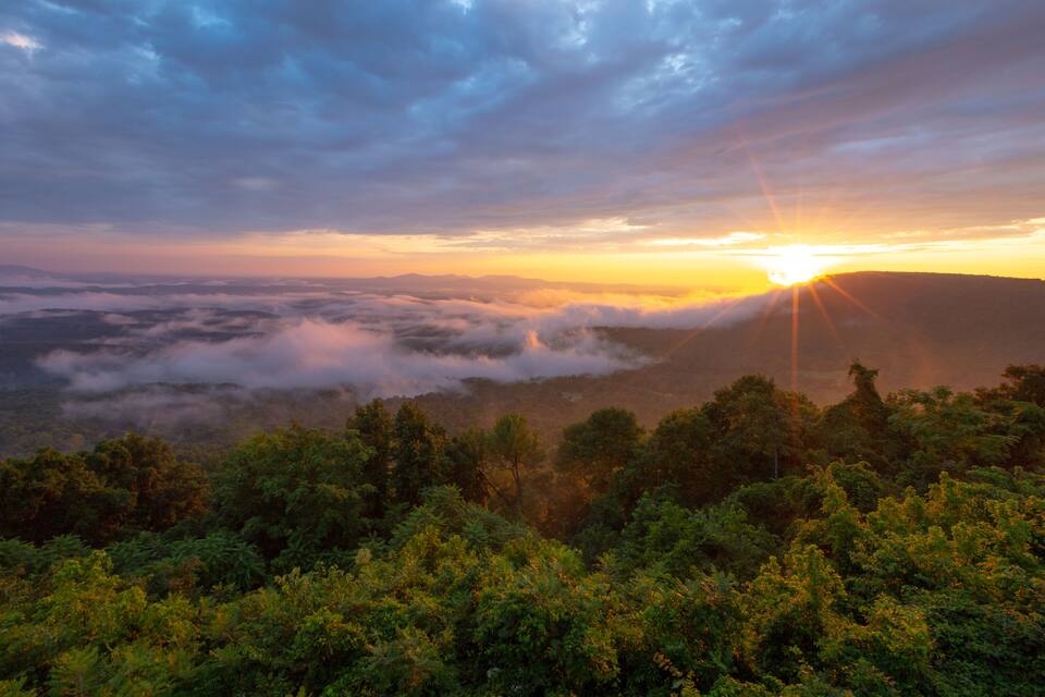 A sunrise over a mountainous landscape with dense forest.