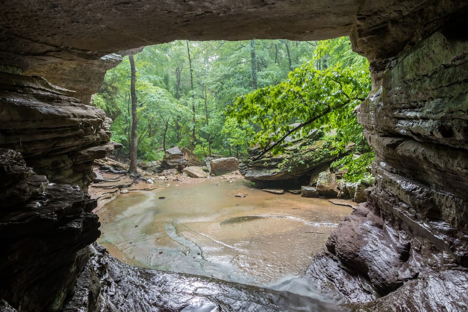 A cave entrance with a pool of water and surrounding greenery.