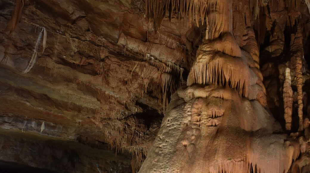 a bell shape cave formation in crystal dome cavern, Arkansas