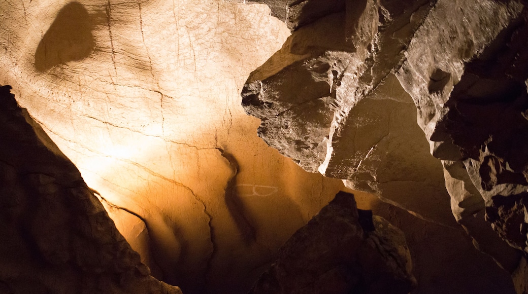 Cavernas de los manantiales Blanchard