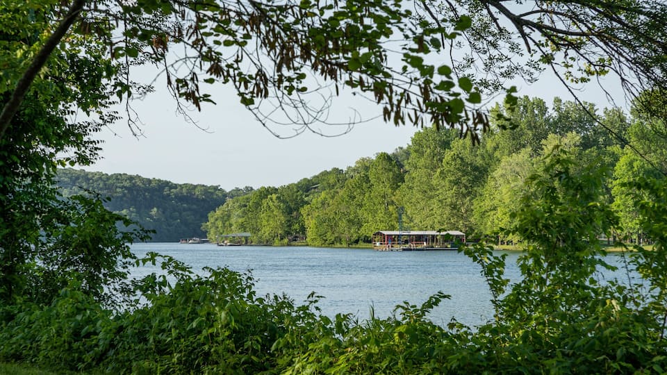 A lake surrounded by dense forest with a small dock and a covered structure.