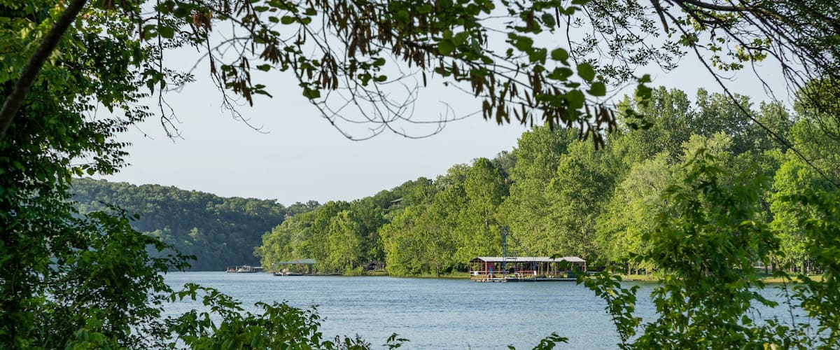 A lake surrounded by dense forest with a small dock and a covered structure.