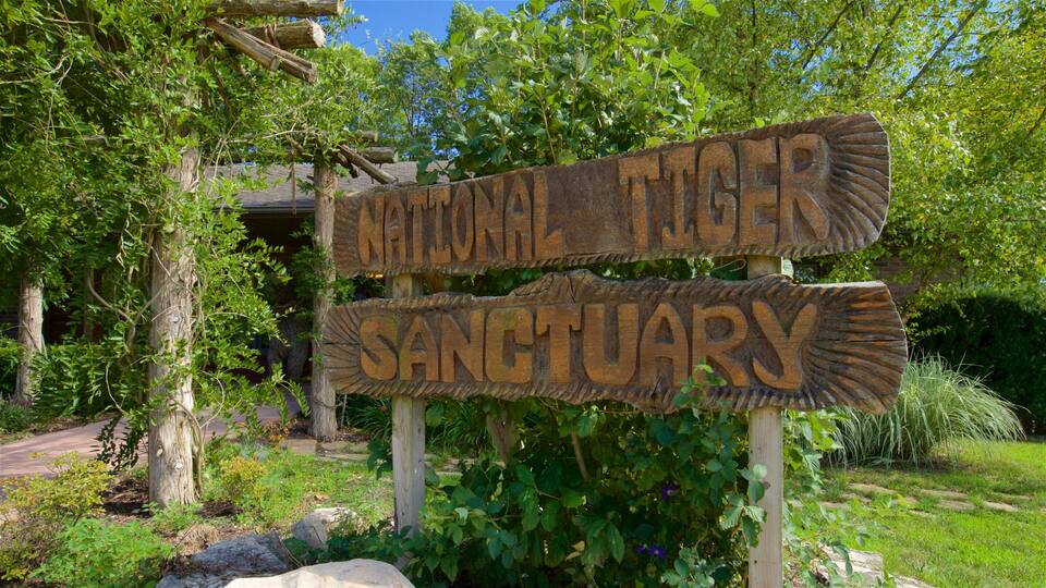 A wooden sign with the words "National Tiger Sanctuary" carved into it.