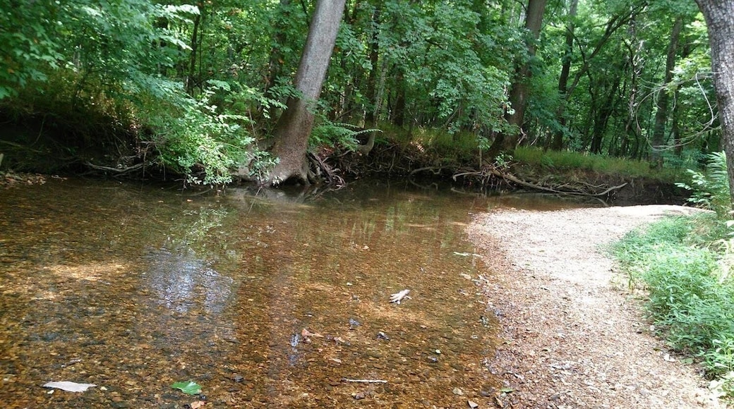 Springfield Conservation Nature Center
